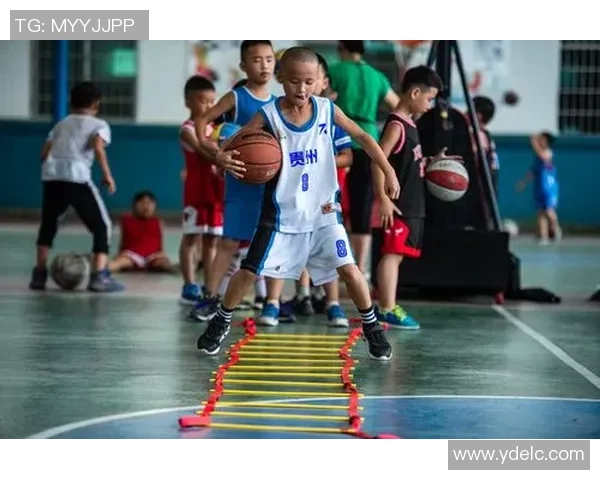 豆瓣姚明明的成长故事与篮球梦想的追逐之路 豆瓣姚明明的成长故事与篮球梦想的追逐之路