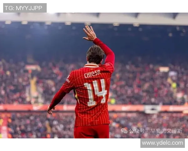 英超激战：马竞逆转本菲卡绝杀瞬间点燃全场激情