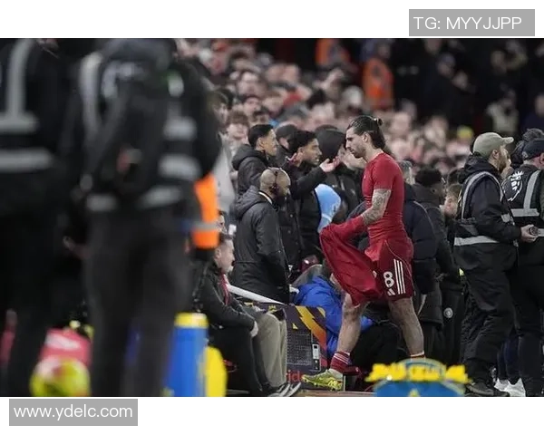 足总杯激战利物浦逆转曼城帽子戏法引爆全场战术解析与精彩瞬间回顾